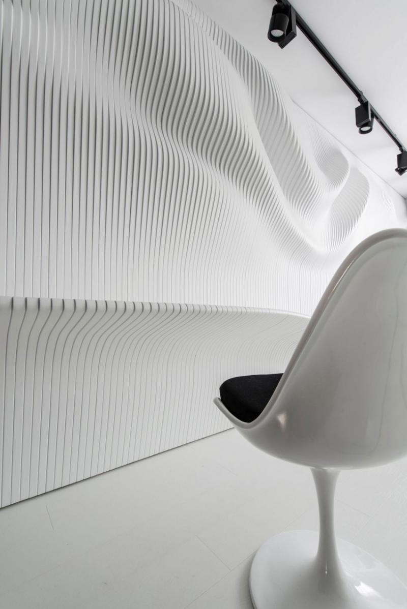 บ้านโทนสีดำขาว parametrium of contrasts