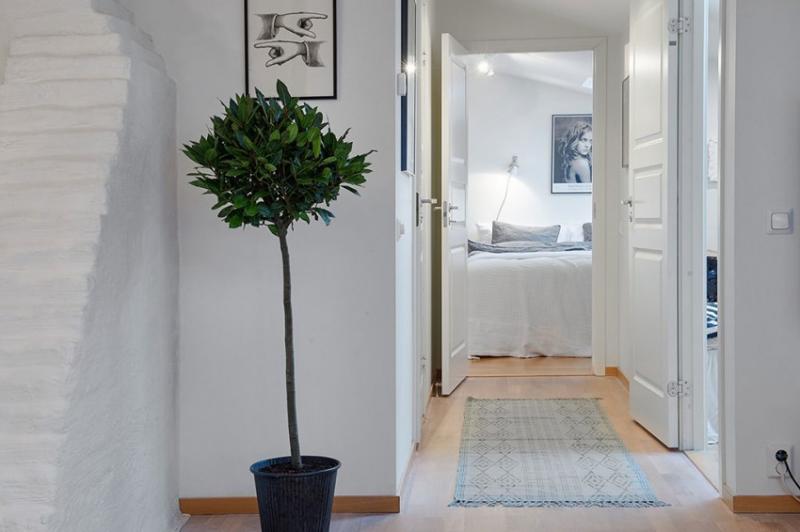 อพาร์ทเม้นที่สวยหรูและการออกแบบที่น่าสนใจ