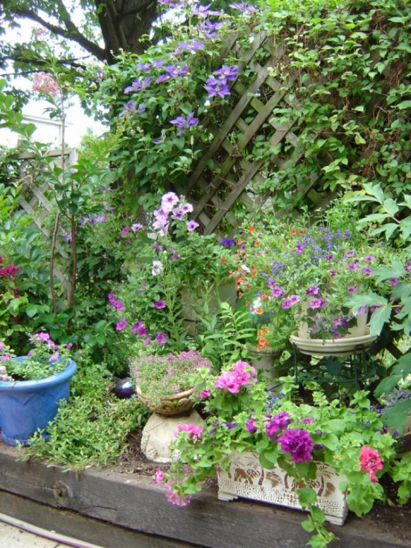 จัดสวนสวยๆ มีหลากหลายรูปแบบ 30 ไอเดีย