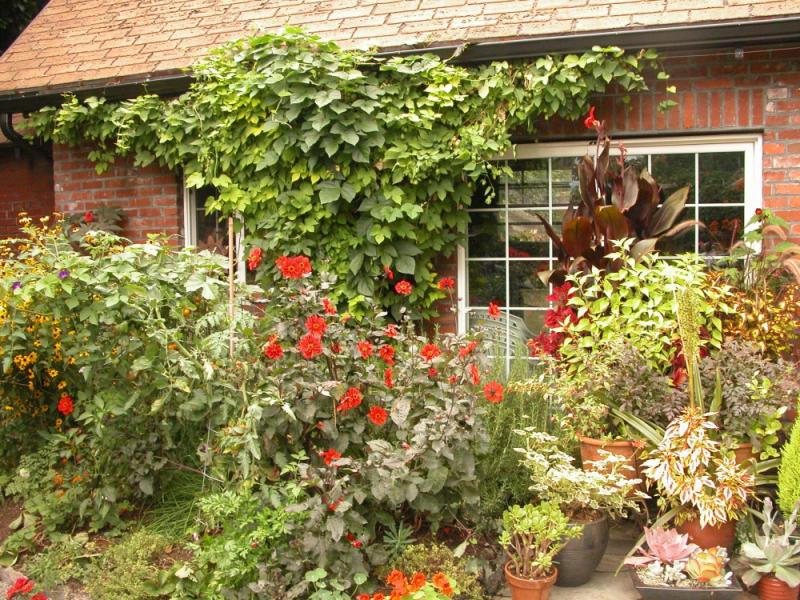 จัดสวนสวยๆ มีหลากหลายรูปแบบ 30 ไอเดีย