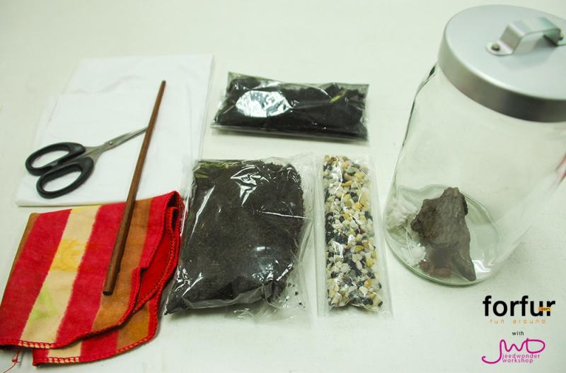 จัดสวนในขวดแก้วขนาดเล็ก เพื่มพื้นที่สีเขียวง่ายๆ