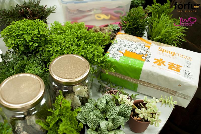 จัดสวนในขวดแก้วขนาดเล็ก เพื่มพื้นที่สีเขียวง่ายๆ