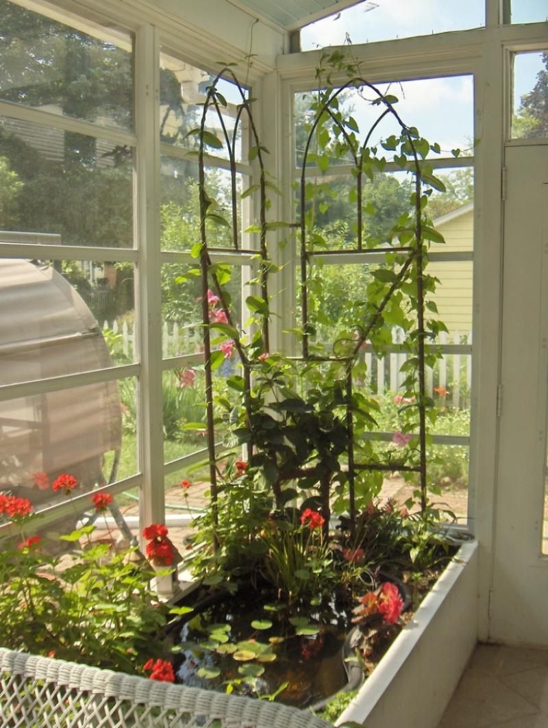 จัดสวนน้ำ ในบ้านเพิ่มความสดชื่น รื่นรมย์