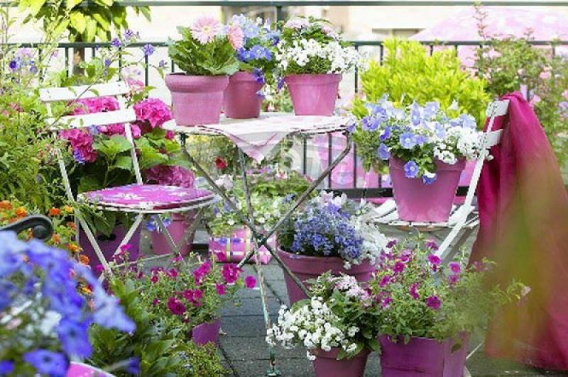 จัดสวน 18 ไอเดีย สร้างบรรยากาศดีๆให้บ้าน