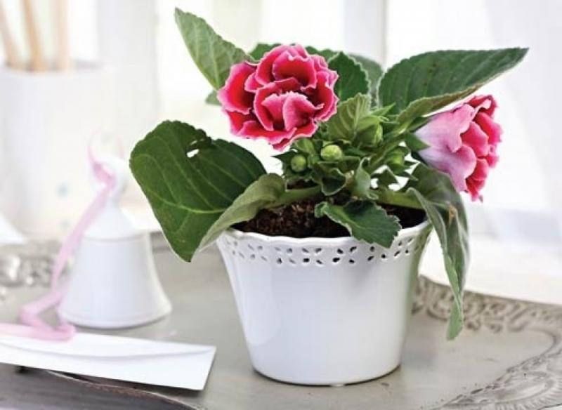 จัดสวน 18 ไอเดีย สร้างบรรยากาศดีๆให้บ้าน