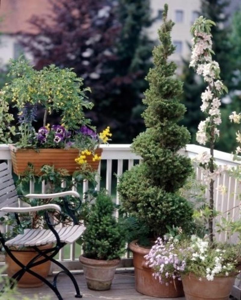 จัดสวน นอกชาน ลานบ้าน พื้นที่สีเขียวสร้างความสดชื่น