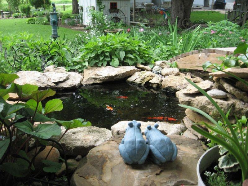 จัดสวนสวย น้ำที่อยู่ในสวน ด้วยบ่อเลี้ยงปลาคาร์ฟ