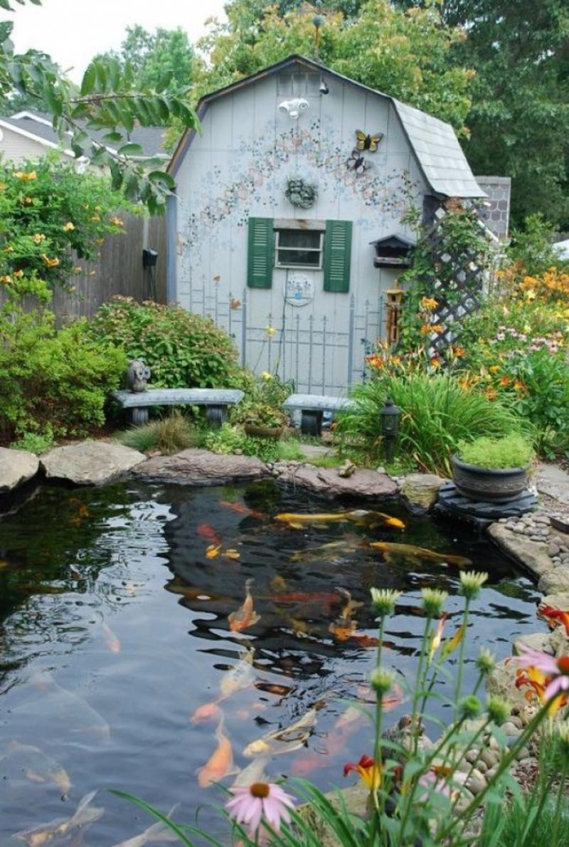 จัดสวนสวย น้ำที่อยู่ในสวน ด้วยบ่อเลี้ยงปลาคาร์ฟ