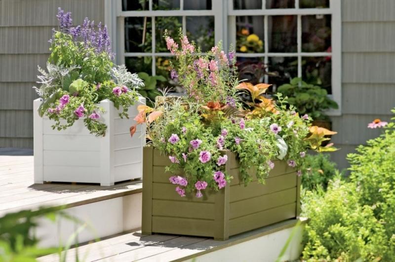 จัดสวนสวยแสนสบายใจกลางเมือง