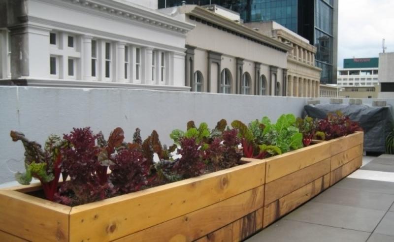 จัดสวนสวยแสนสบายใจกลางเมือง