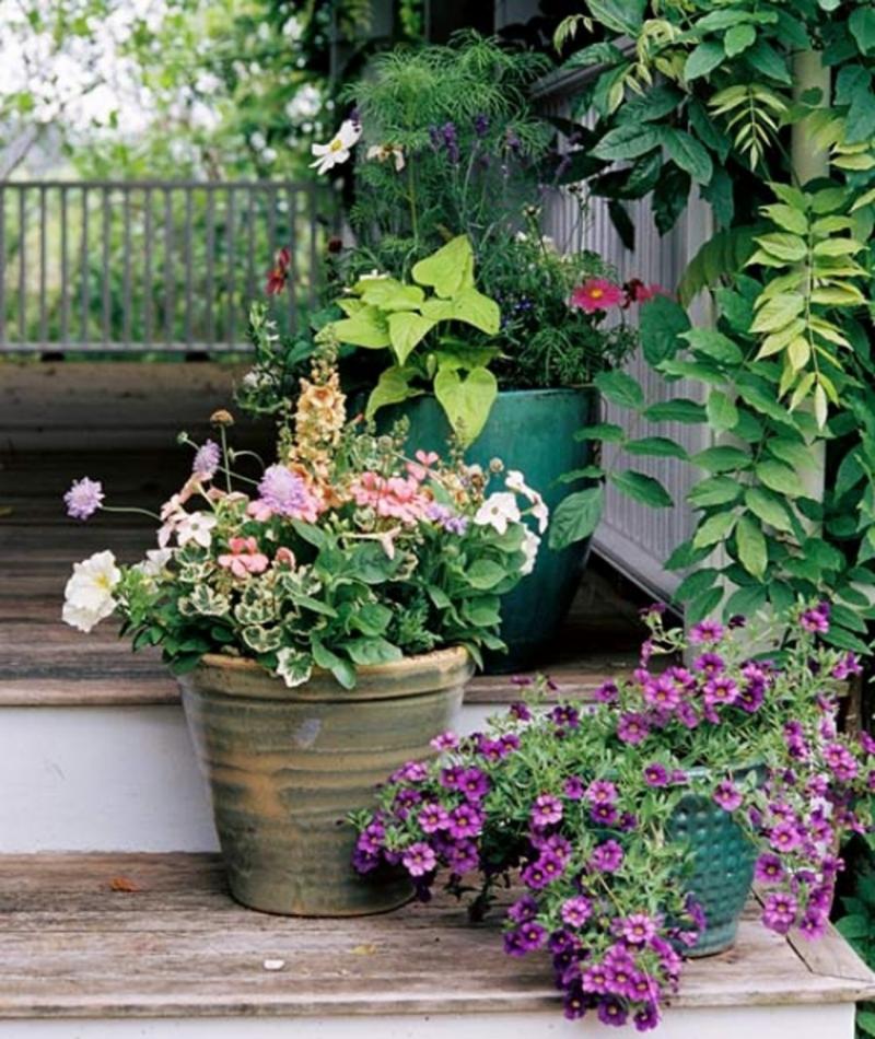 จัดสวนสวยแสนสบายใจกลางเมือง