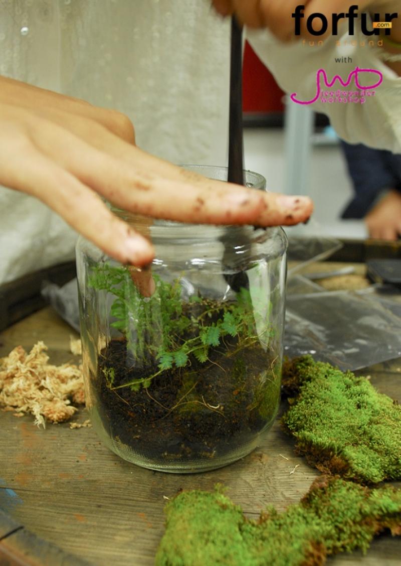 จัดสวนในขวดแก้ว จัดวางได้ตามใจ เพื่มพื้นที่สีเขียวง่ายๆ