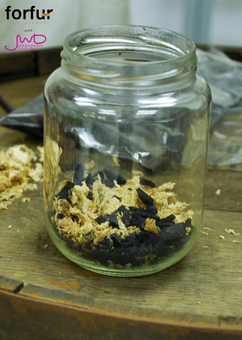 จัดสวนในขวดแก้ว จัดวางได้ตามใจ เพื่มพื้นที่สีเขียวง่ายๆ