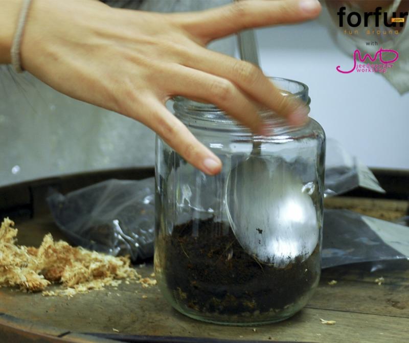 จัดสวนในขวดแก้ว จัดวางได้ตามใจ เพื่มพื้นที่สีเขียวง่ายๆ