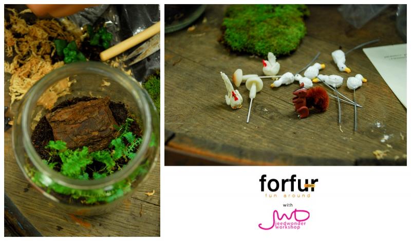 จัดสวนในขวดแก้ว จัดวางได้ตามใจ เพื่มพื้นที่สีเขียวง่ายๆ