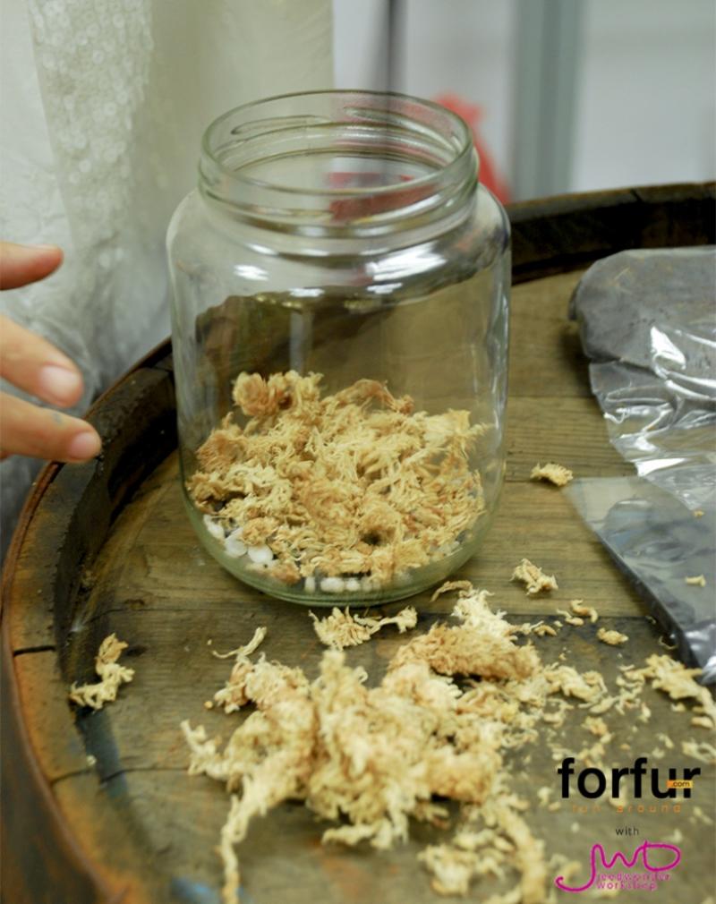 จัดสวนในขวดแก้ว จัดวางได้ตามใจ เพื่มพื้นที่สีเขียวง่ายๆ