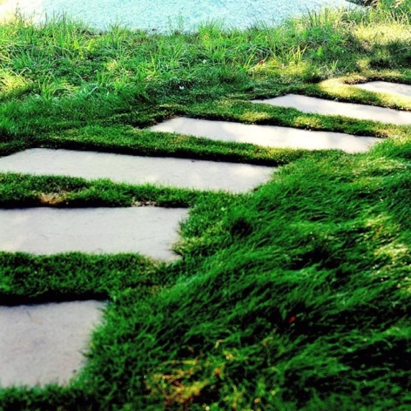 จัดสวน ไอเดียแต่งทางเดินในสวน หรือสนามรอบบ้าน ให้สวยสะดุดตา