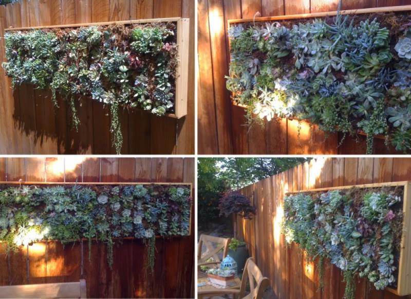 จัดสวนสวย รูปแบบการจัดสวนเทรนด์ใหม่