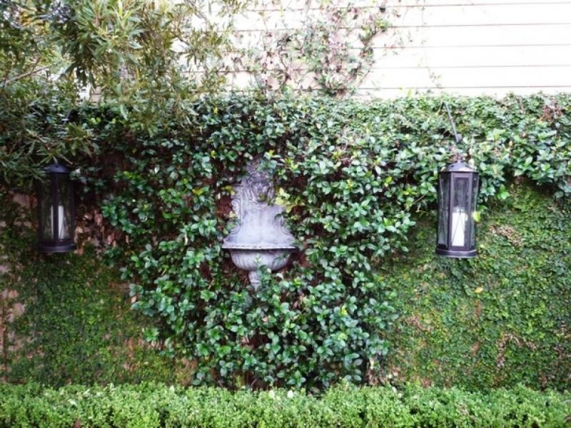 แต่งสวนไอเดียรั้วและกำแพงบ้าน ในสวนกลางแจ้ง