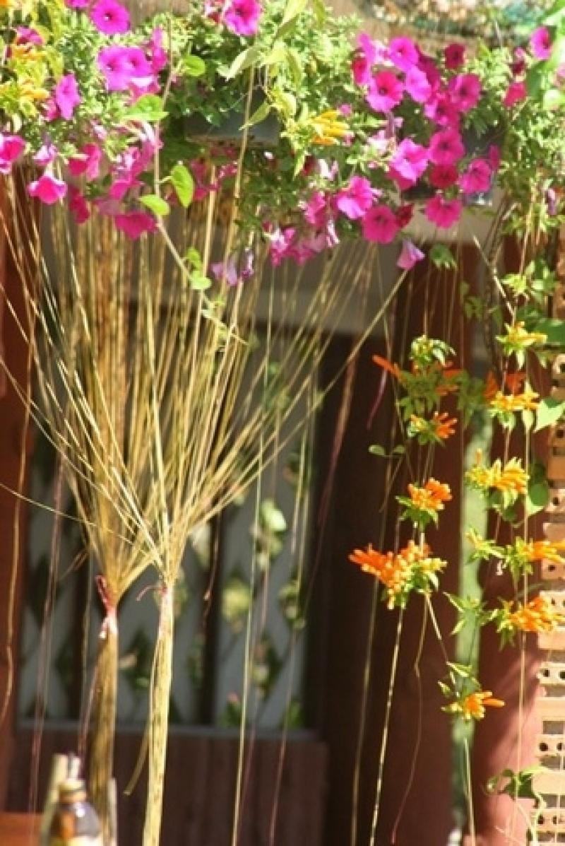 แต่งสวนไอเดียรั้วและกำแพงบ้าน ในสวนกลางแจ้ง