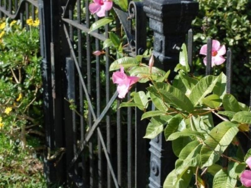 จัดสวนเมืองร้อน เน้นความร่มรื่นเป็นธรรมชาติ สไตล์บาหลี