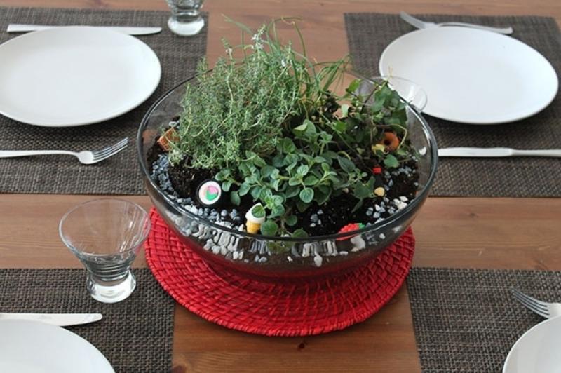 จัดสวนสมุนไพรง่ายๆ ด้วยตัวคุณ เพื่อเพิ่มความเขียวขจี