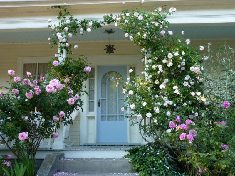 จัดสวนสวยสไตล์อังกฤษ เน้นความเป็นธรรมชาติ