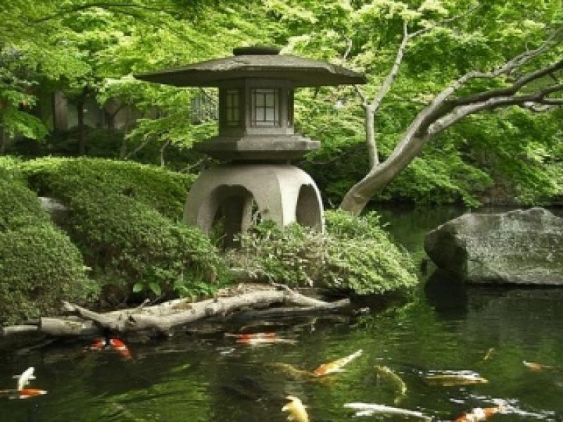 จัดตกแต่งให้สวนสวย การเลือกใช้กระถางใช้ปลูกพืชพรรณต่างๆ