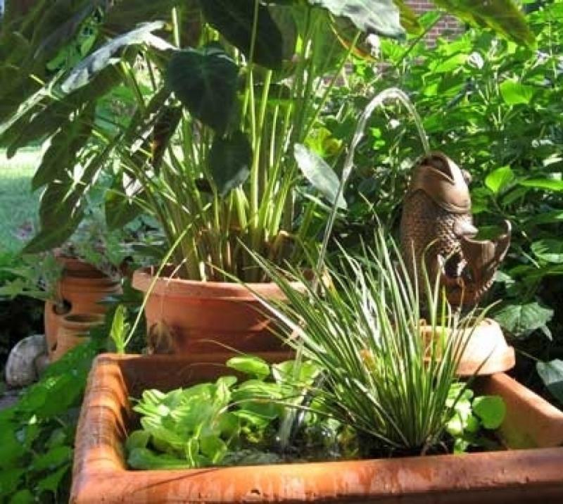 จัดตกแต่งให้สวนสวย การเลือกใช้กระถางใช้ปลูกพืชพรรณต่างๆ