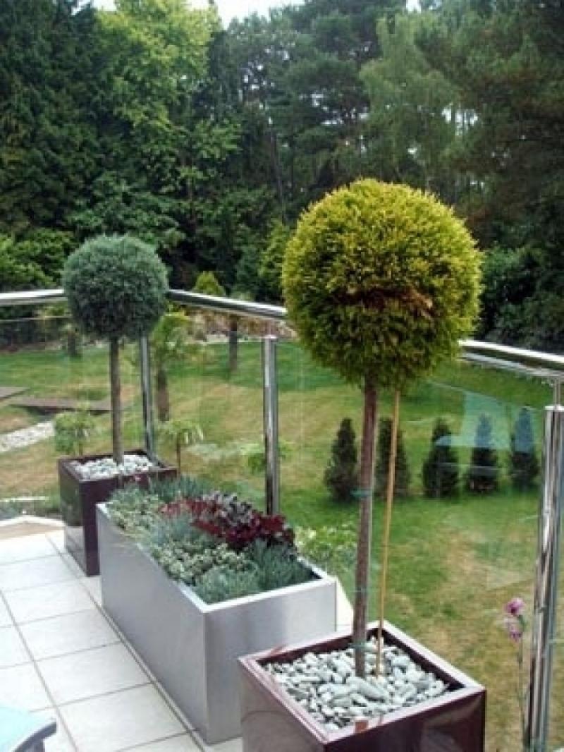 จัดตกแต่งให้สวนสวย การเลือกใช้กระถางใช้ปลูกพืชพรรณต่างๆ