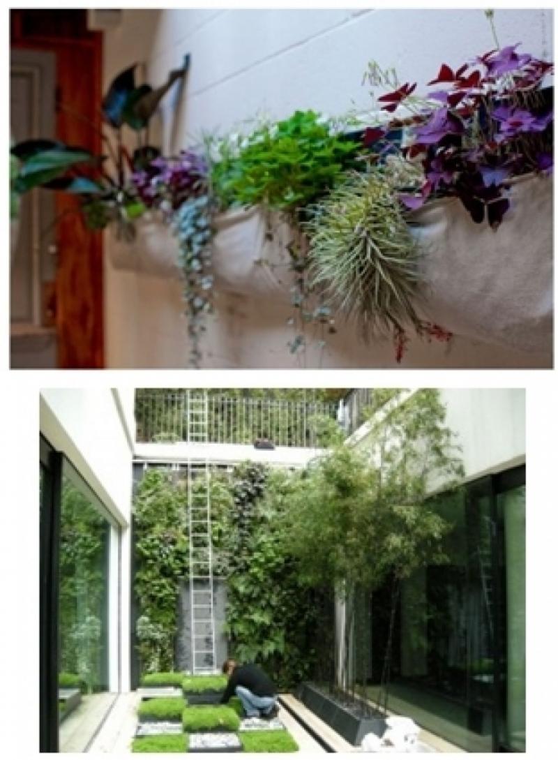 การจัดสวนในพื้นที่จำกัด ที่มีพื้นที่บ้านเล็กๆเช่น ทาวน์เฮ้าส์ หรือตึกแถว