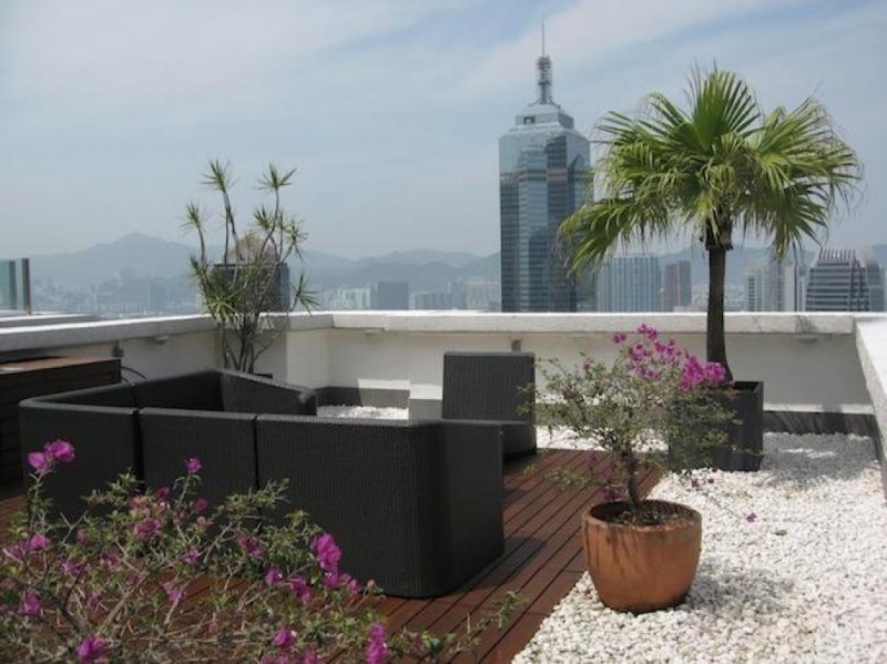 จัดสวนสวยบนดาดฟ้า ในป่าคอนกรีตที่ร้อนแดด