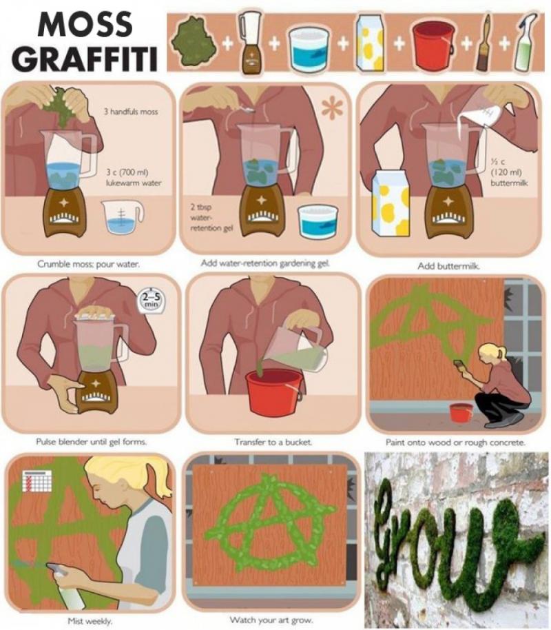 จัดสวนบนผนังแบบเด็กแนว ด้วย moss grafffiti