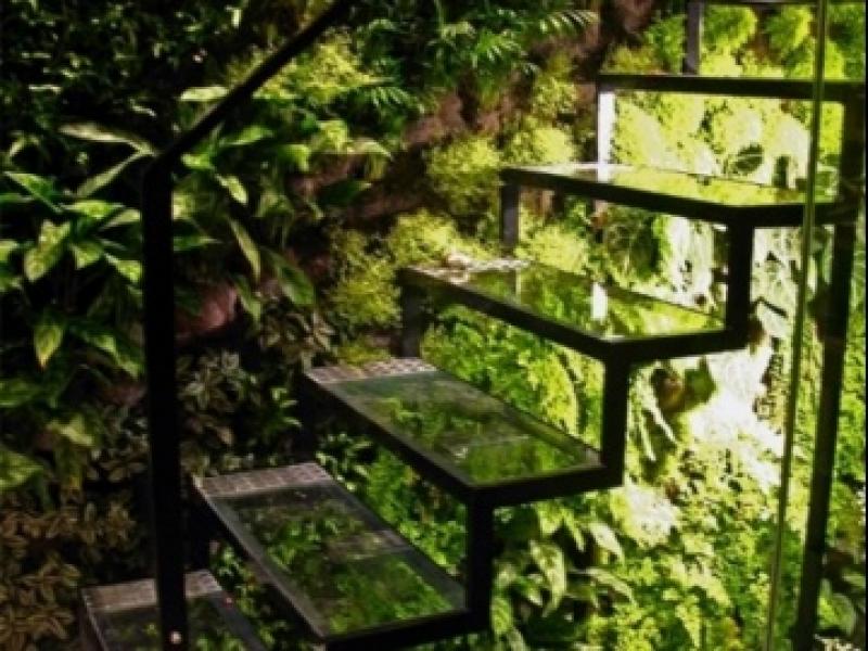 จัดสวนบนผนังแบบเด็กแนว ด้วย moss grafffiti