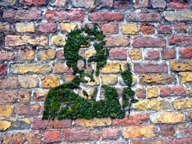 จัดสวนบนผนังแบบเด็กแนว ด้วย moss grafffiti