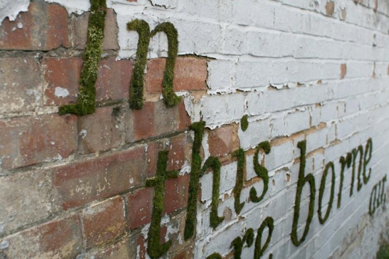 จัดสวนบนผนังแบบเด็กแนว ด้วย moss grafffiti