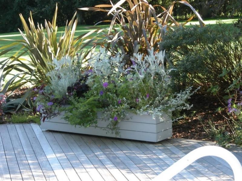 จัดแต่งสวนสวย สวนสวยเลือกได้ด้วยไม้กระถาง ตามจินตนาการ