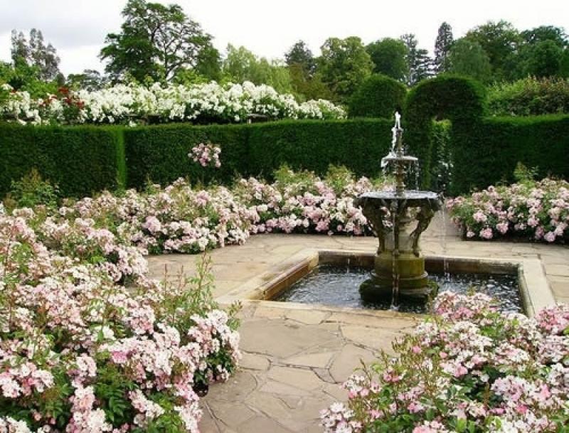 จัดสวนสไตล์อิตาเลี่ยน italian garden สวนแห่งแดนมักกะโรนี