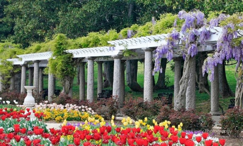 จัดสวนสไตล์อิตาเลี่ยน italian garden สวนแห่งแดนมักกะโรนี