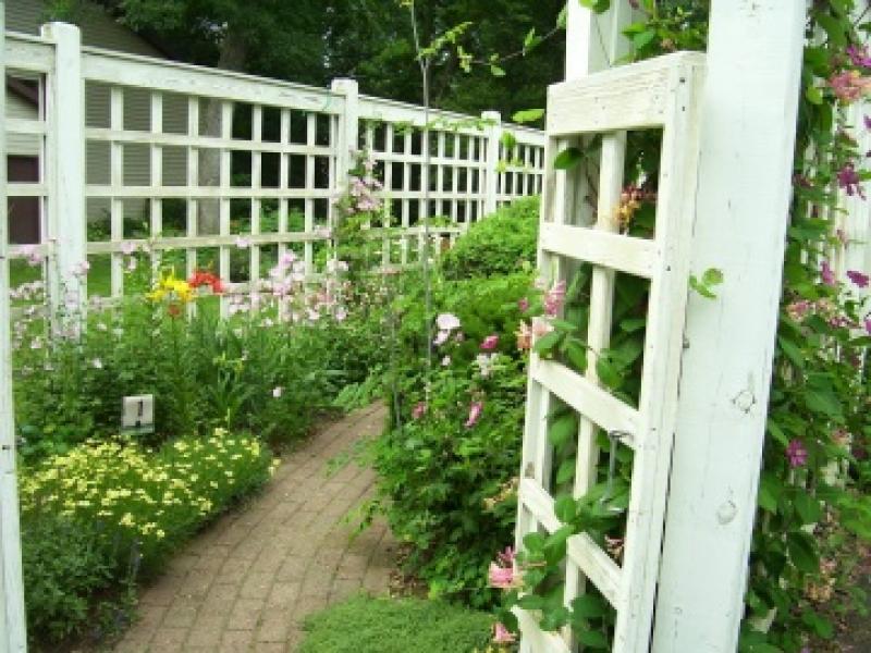 จัดสวนสวยริมหน้าต่าง ดูแลง่าย มีมุมสดชื่นไว้ผ่อนคลาย