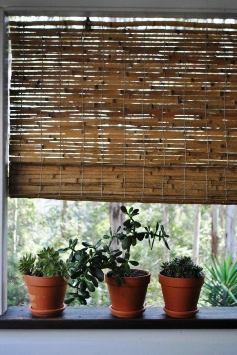 จัดสวนสวยริมหน้าต่าง ดูแลง่าย มีมุมสดชื่นไว้ผ่อนคลาย