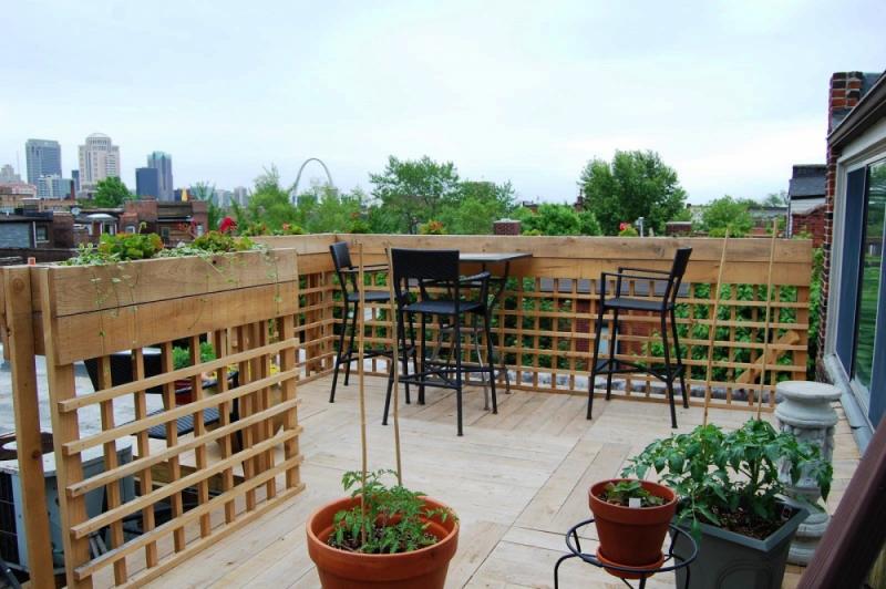 แต่งสวนแบบโมเดิร์นด้วยไอเดียง่ายๆ