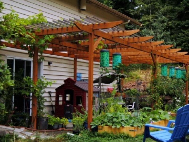 แต่งสวนสวย ด้วยดอกไม้หน้าฝน มาสร้างบรรยากาศดีๆ