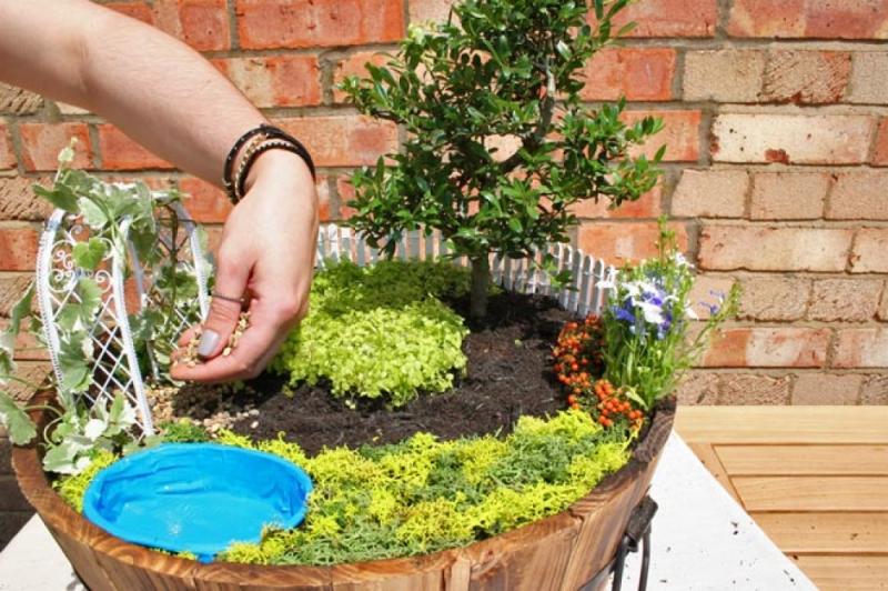 จัดสวน ฉลองการประสูติ พระโอรสแห่งเคมบริดจ์ ชาวอังกฤษ