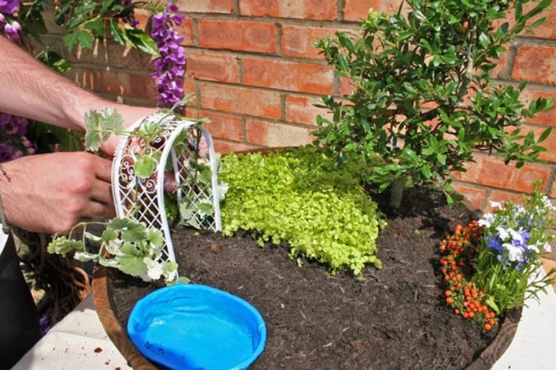 จัดสวน ฉลองการประสูติ พระโอรสแห่งเคมบริดจ์ ชาวอังกฤษ