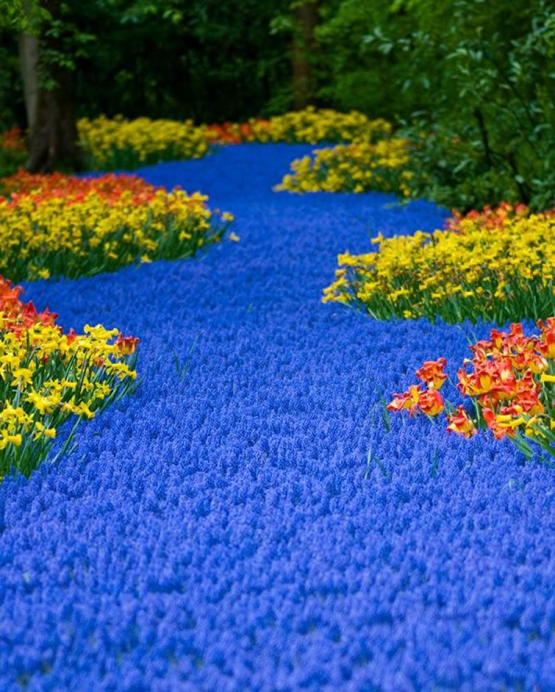 จัดสวน อลังการ งานขนาดใหญ่ กว่า 40 แบบ