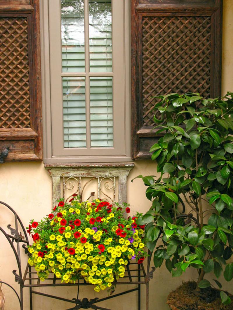 จัดสวนสวยงาม หรูหรา คลาสสิค