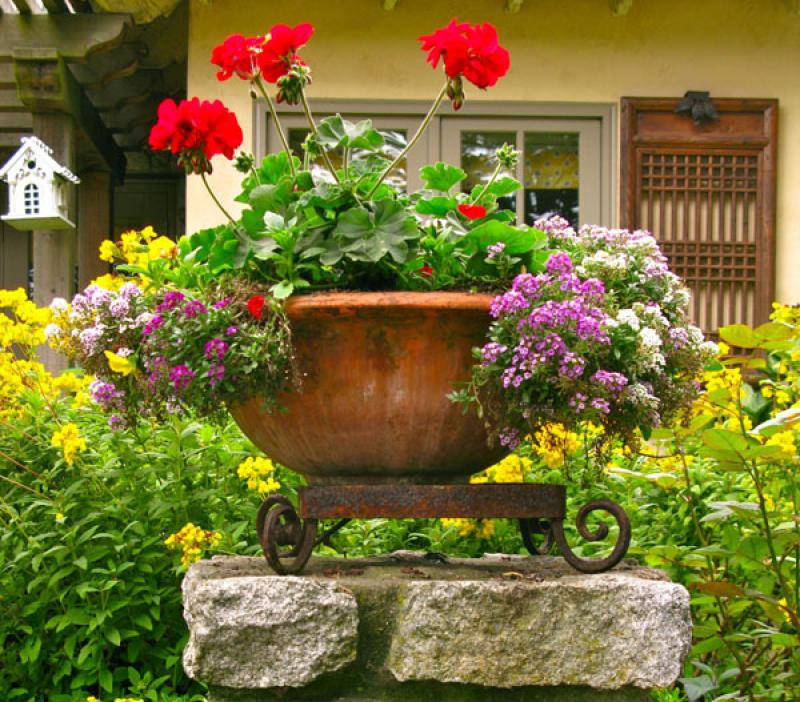 จัดสวนสวยงาม หรูหรา คลาสสิค