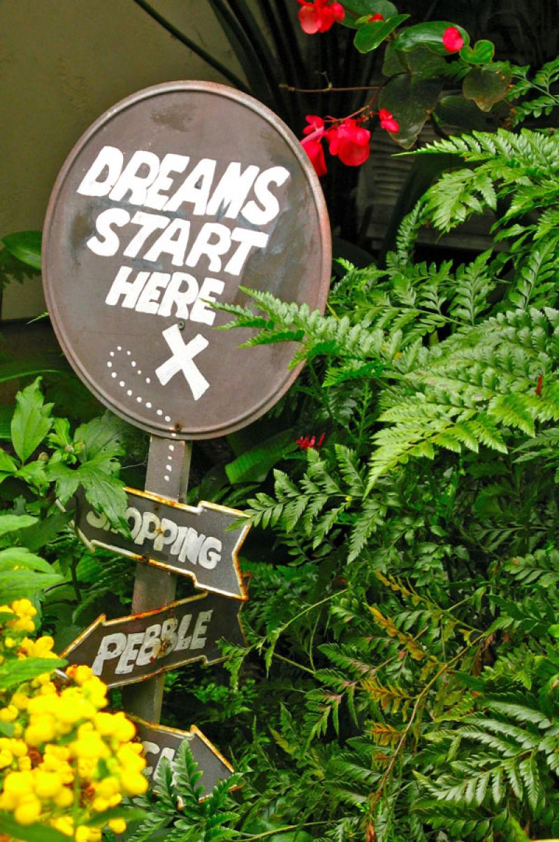 จัดสวนสวยงาม หรูหรา คลาสสิค