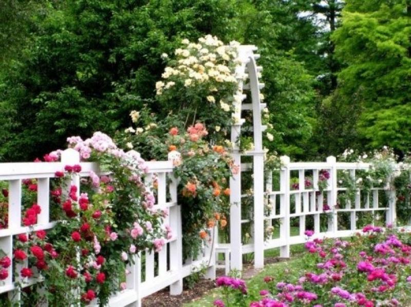 ตกแต่งสวน รั้วบ้าน ประตูบ้าน ด้วยดอกไม้ 30 ไอเดีย